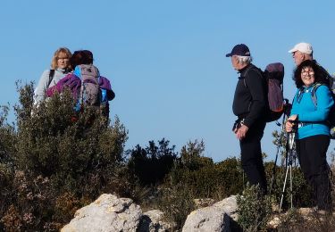 Tour Wandern La Ciotat - la ciotat cap canaille - Photo