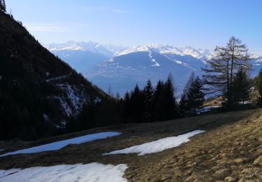 Tocht Noords wandelen Arbaz - la sionne  - Photo