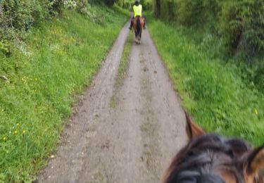 Trail Horseback riding Chasselay - Chasselay 20230423 - Photo