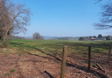 Tocht Stappen Jalhay - Tiège theux Tiège  - Photo