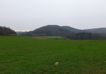 Tocht Te voet Weinheim - Geopark-Pfad Weinheim-Schriesheim - Photo