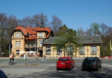 Tocht Te voet  - Erfurter Steigerwald: Rotes Rad - Photo