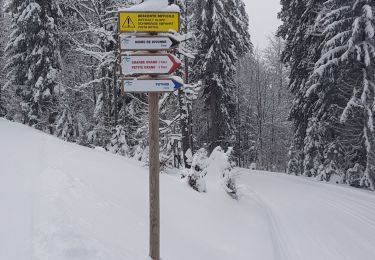 Trail Cross-country skiing Mijoux - puthod - Photo