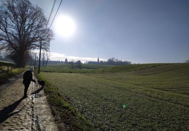 Trail Walking Ottignies-Louvain-la-Neuve - ballade dans le BW top  - Photo