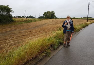Percorso Marcia Morlanwelz - 2019-08-17 Carnières  21 km - Photo