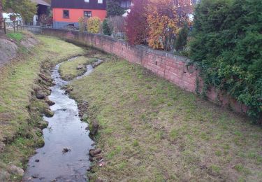 Percorso A piedi Weilbach - Rundwanderweg Weilbach 4: Gotthardsbergweg - Photo