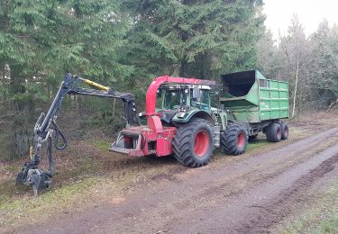 Tour Zu Fuß  - Stensbæk Plantage - rød vandrerute - Photo