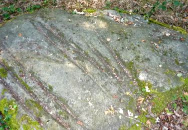 Excursión Senderismo Faÿ-lès-Nemours - Circuit des polissoirs Faÿ-les-Nemours - Photo