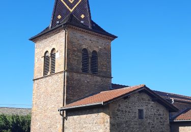 Tour Wandern Montmelas-Saint-Sorlin - Montmelas-St-Sorlin - Chapelle St Bonnet - Chateau de L'Hestrange - Photo