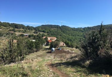 Randonnée Marche Joncels - Joncels - Circuit des Buis par Lunas - Photo