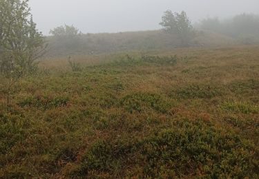 Trail Walking Soultz-Haut-Rhin - 01-08-23 Tour Vosges J1: Grand Ballon - Markstein - Photo