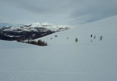 Randonnée Raquettes à neige Roubion - Col de  la Couillole à cime de Giarons - Photo