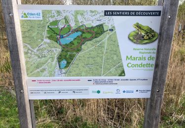 Trail Walking Condette - Harde lot Lac des miroirs  - Photo