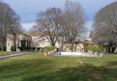 Tocht Stappen Vernègues - Vernègues  - Photo