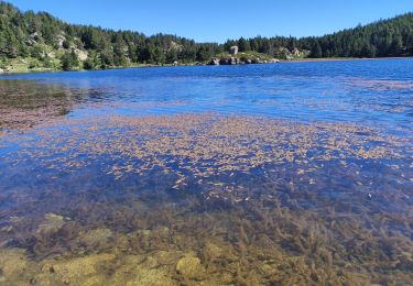 Trail Walking Les Angles - bouillouses 9 lacs - Photo