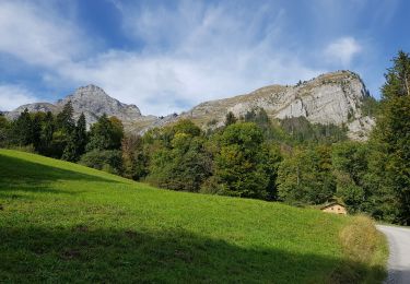 Tour Wandern Sallanches - arrête des Saix - Photo