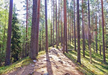 Tour Zu Fuß  - Harjunkierros - Photo