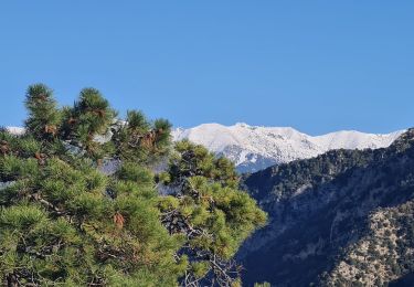 Tocht Stappen Duranus - duranus rocca sparviera  - Photo