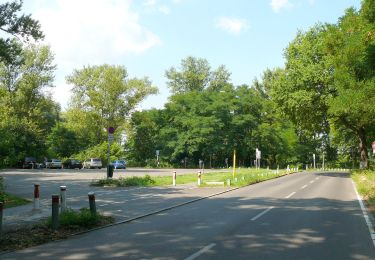 Tour Zu Fuß Unbekannt - Havelhöhenweg - Photo