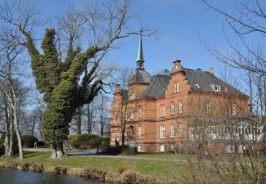 Tocht Te voet Brodersby - Steilküsten-Variante - Photo