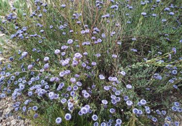 Trail Walking Allauch - la treille - Photo