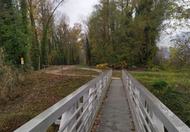 Excursión Ruta Meylan - Parcours du Martin pêcheur - Photo