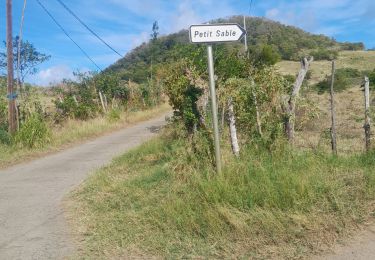 Tour Wandern Sainte-Anne - moulin val d'or en boucle  - Photo