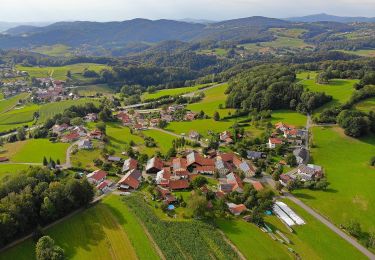 Randonnée A pied Ringelai - Verlängerungsmöglichkeit 