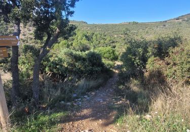 Tocht Stappen Saint-Saturnin-de-Lucian - st saturnin roc des vierges  - Photo