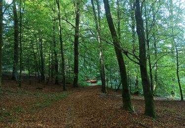 Tocht Noords wandelen Aarlen - Freylange - Beynert - Photo