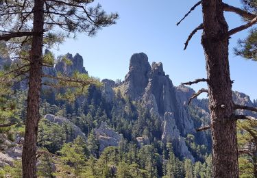 Tour Wandern Zonza - bavella samuladia - Photo