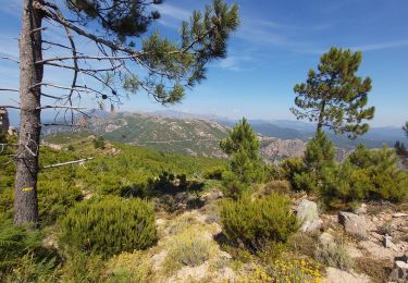 Trail Walking Moca-Croce - Monte San Petru - Photo
