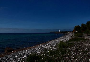 Tocht Te voet  - Stevns Klint Trampesti - Photo