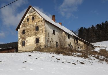 Trail On foot Semriach - Wanderweg 19a - Photo