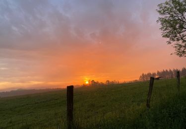 Tour Wandern Rochefort - Pelerinage - Photo