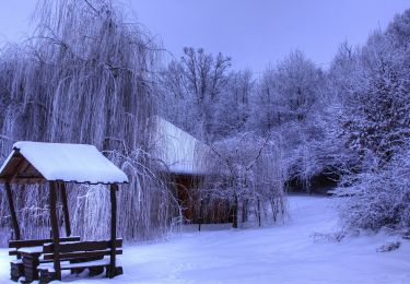 Tocht Te voet Hollókő - Z04 - Photo