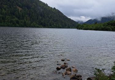 Tocht Stappen Xonrupt-Longemer - Tour des lacs de Longemer et Retournemer et cascades - Photo