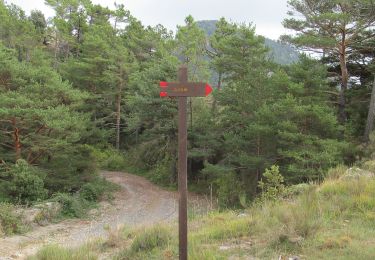 Trail On foot Dolceacqua - La Colla - Colla Sgora - Photo