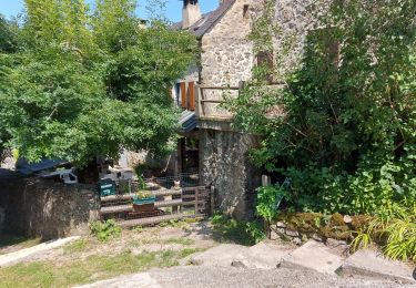 Excursión Senderismo Saint-Sauveur-Camprieu - les monts de Saint sauveur de camprieu - Photo