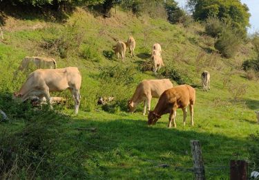 Tour Wandern Écaussinnes - Promenade Piedescaus Ecaussinnes Dîme - Photo