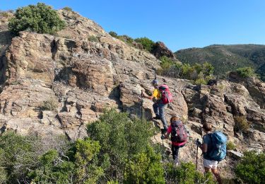 Excursión Senderismo Fréjus - Le Vinaigre depuis le pont de la Bécasse  - Photo