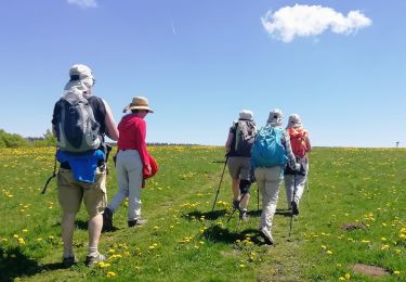 Tour Wandern Les Hermaux - hermaux - bellecombe - Photo
