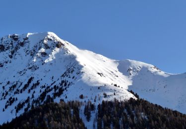 Trail On foot Aldein - Aldino - (SI C13N) Redagno di Sopra - Passo Lavaze - Photo