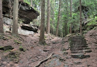 Randonnée A pied Reisdorf - Mullerthal Trail Extra Tour B - Photo