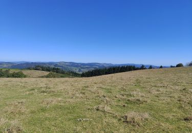 Trail Walking Violay - Randonnée de Violay  - Photo