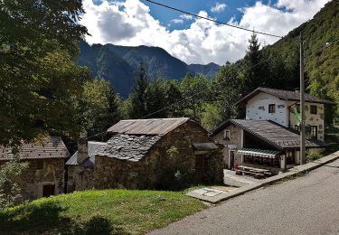 Trail On foot Valstrona - IT-Z11 - Photo