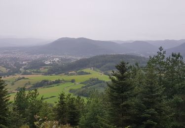 Randonnée Marche Saint-Dié-des-Vosges - Balade autour du Col de la Crenée - Photo