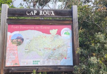 Trail Walking Saint-Raphaël - F 24 boucle - Photo