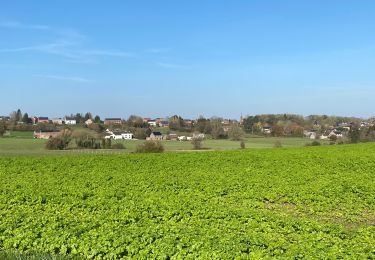 Percorso Cicloturismo Gerpinnes - Randonnée vélo moitié du tour Sainte Rolende  - Photo