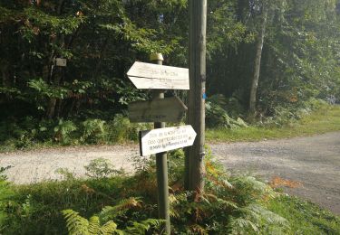 Trail Walking Saint-Jean-de-Côle - Saint-Jean de colle la côte 12 km - Photo